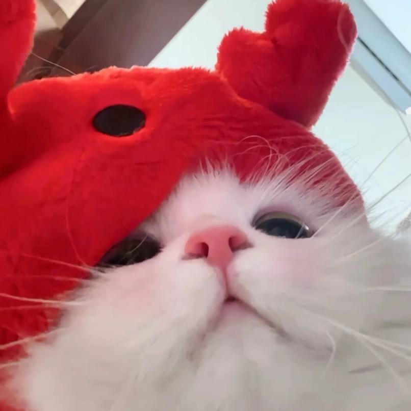蛋子