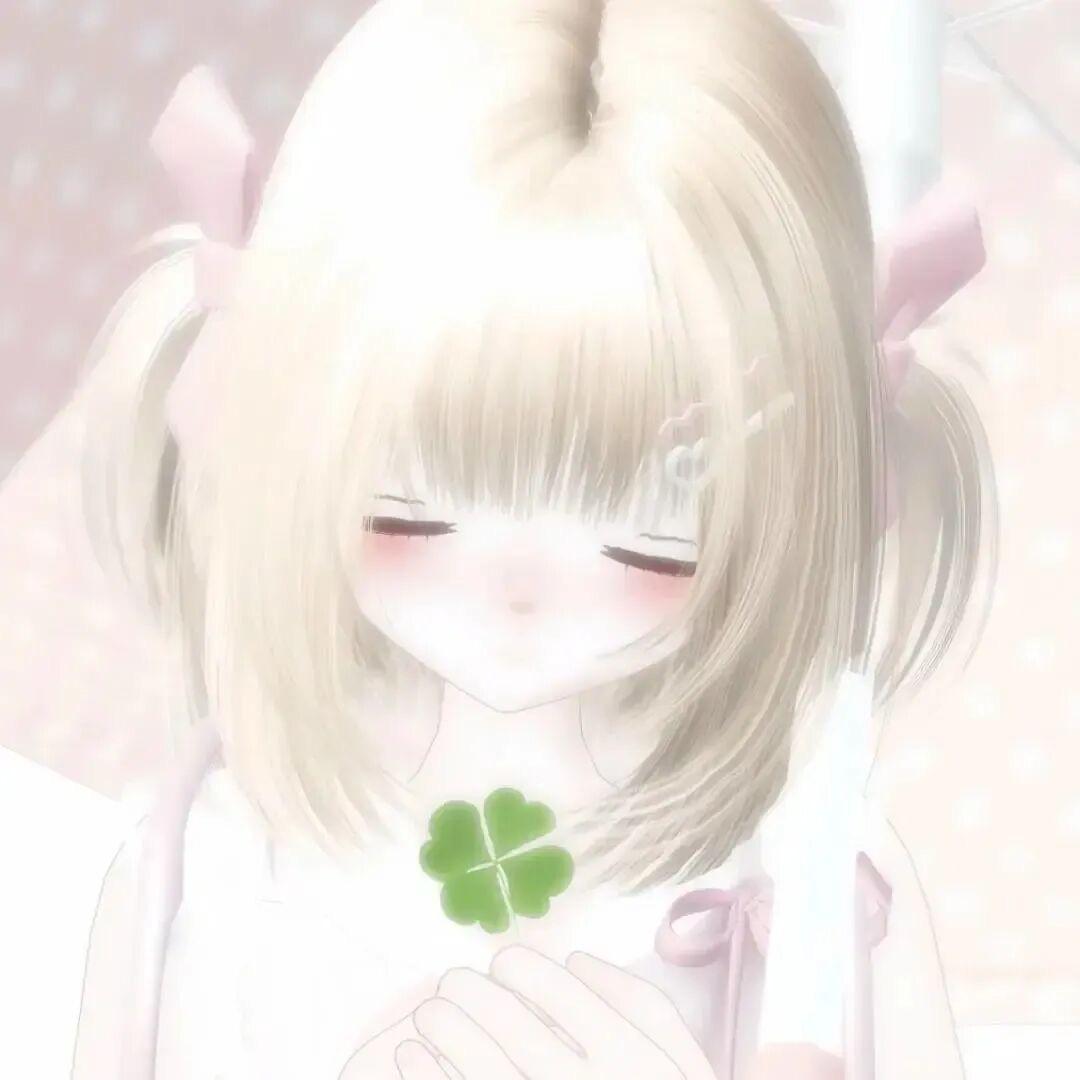 新毛毛雨传