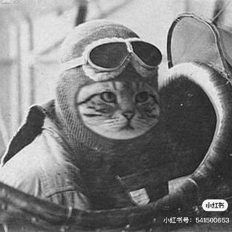 娃哈哈哈哈哈