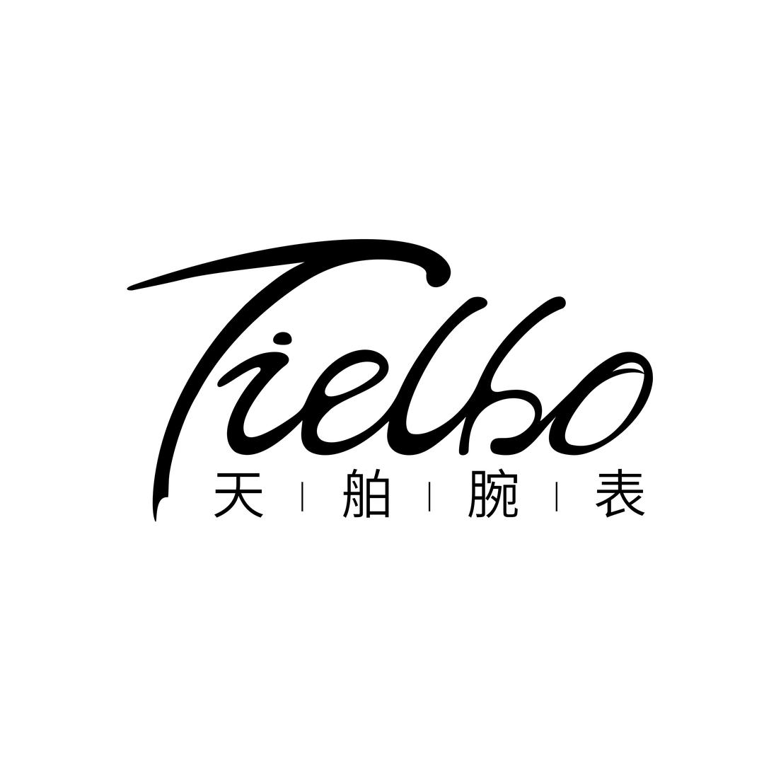 天舶Tielbo官方旗舰店