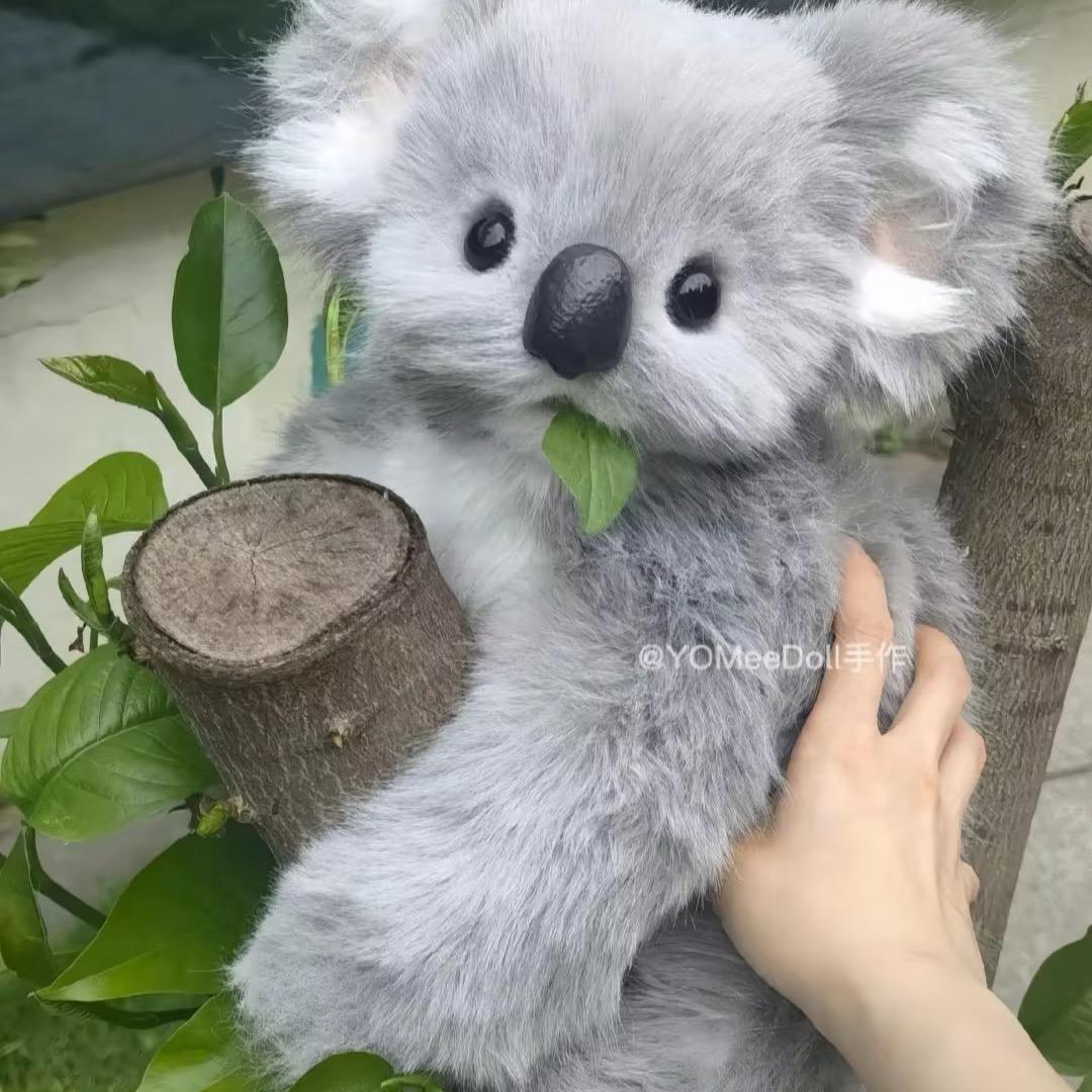 西尔维娅