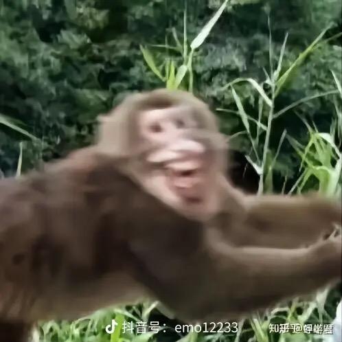 江星尔克