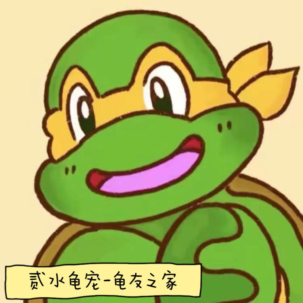 贰水龟宠店