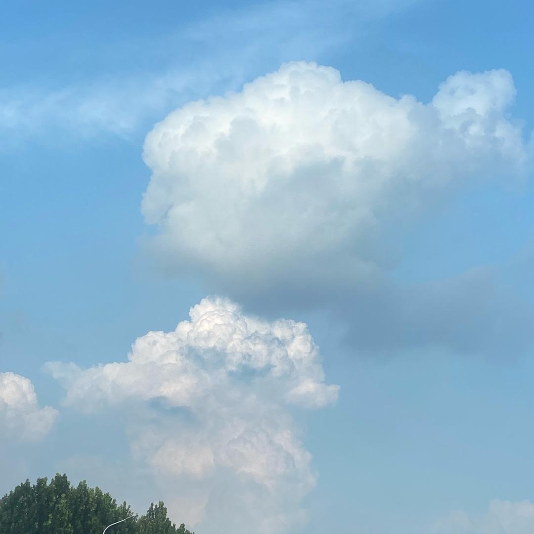 热心市民田田田