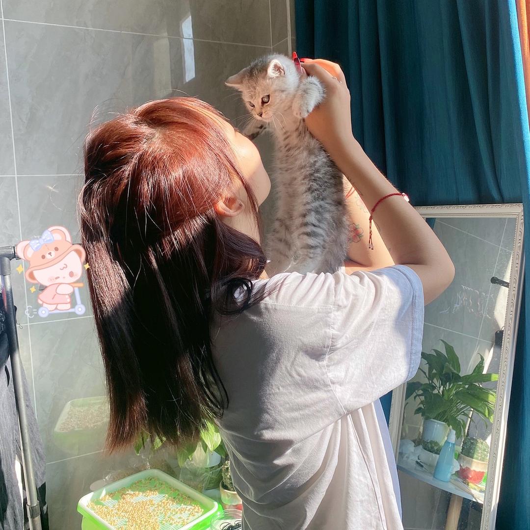 蓝