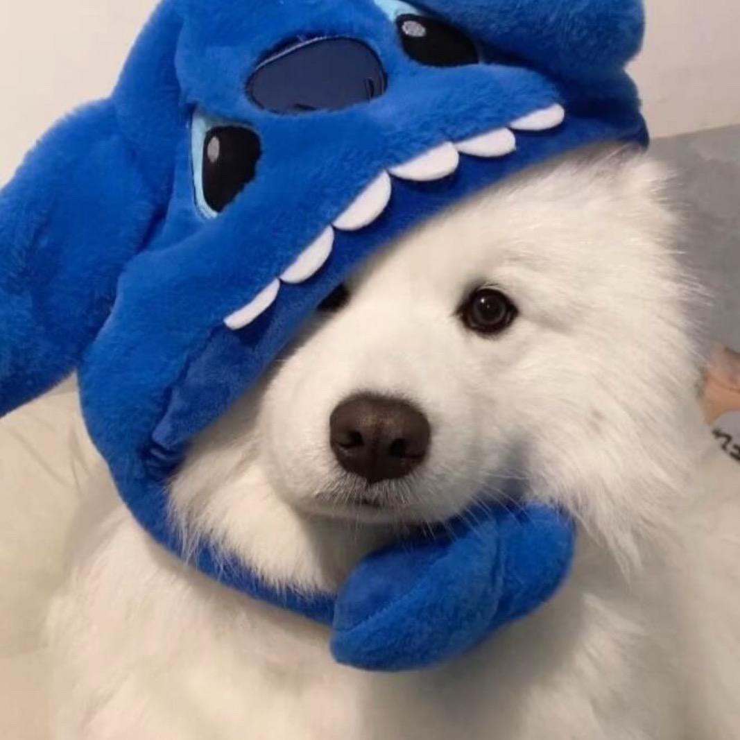 多多duoduo