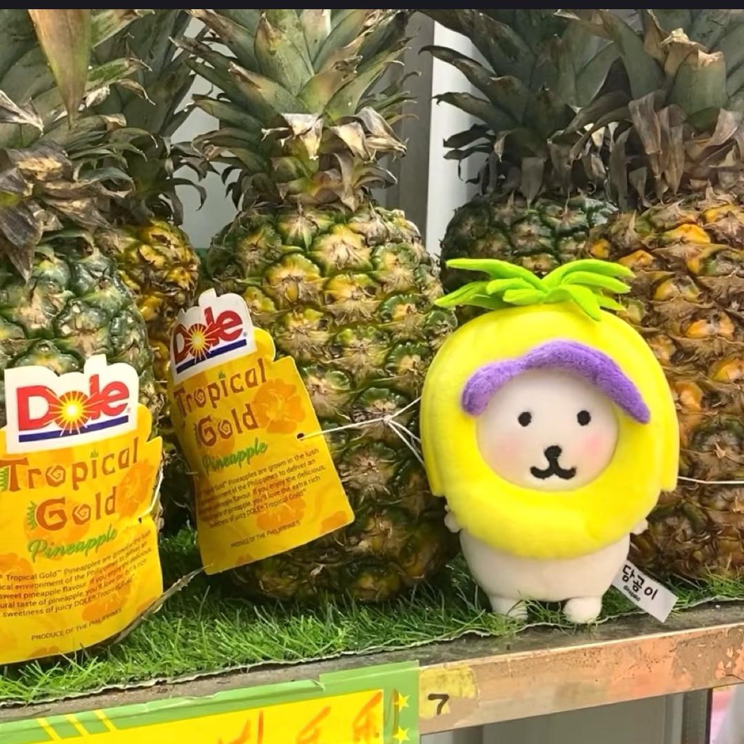 菠萝丁