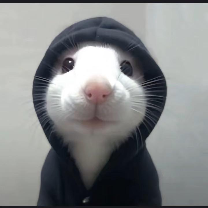 蛋清