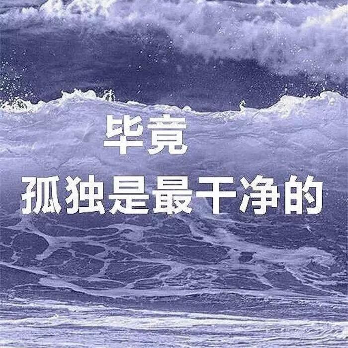 熊猫是熊不是猫