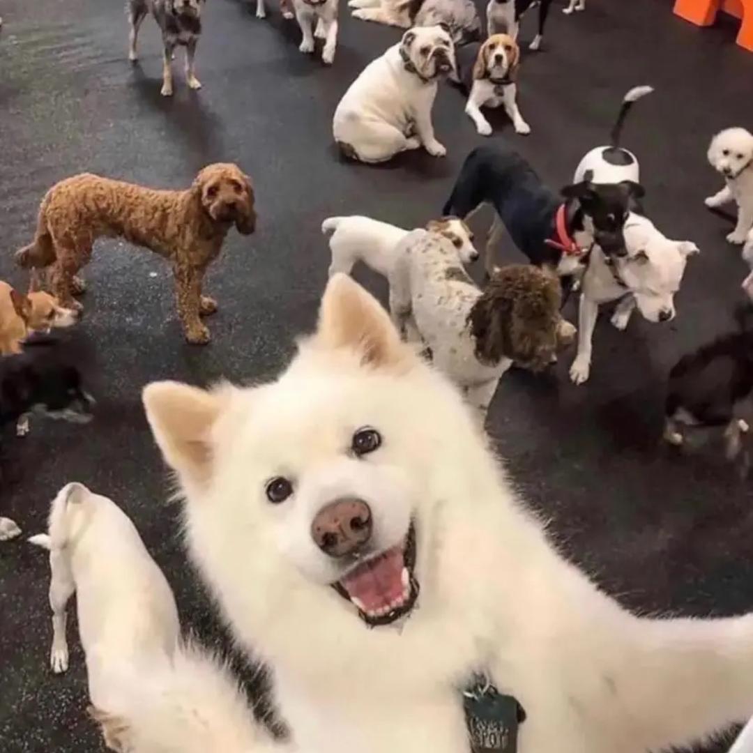 难逃月色💕
