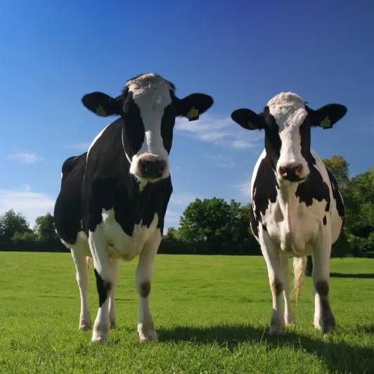 牛奶源、全国仓