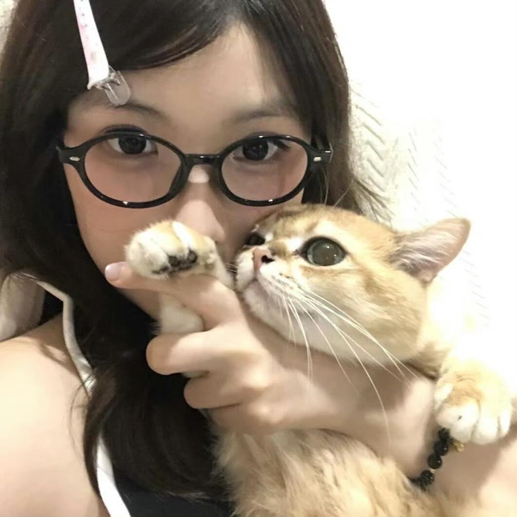 被蟑螂追杀出逃的动感雨夜