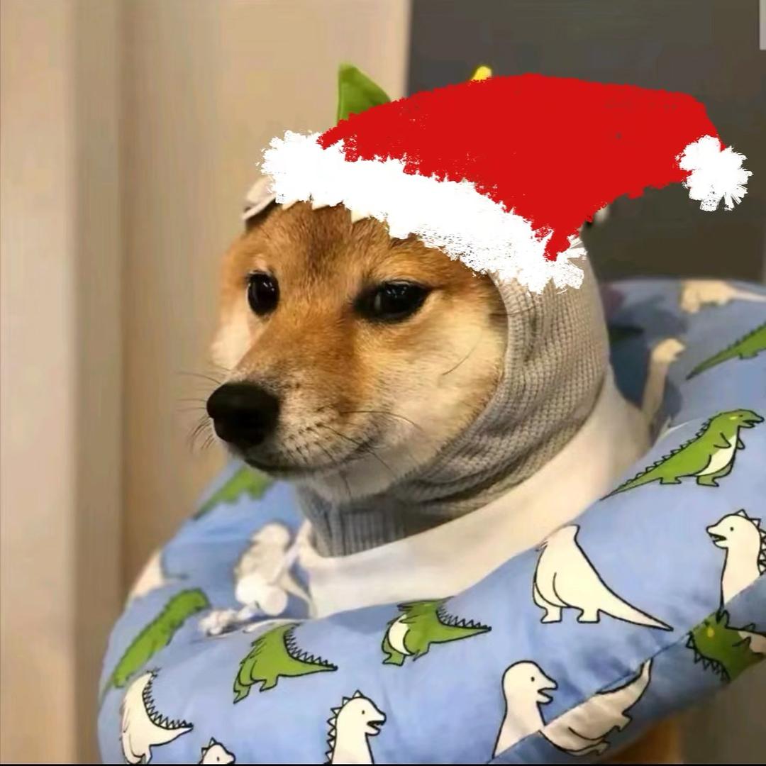 晓子不错啊