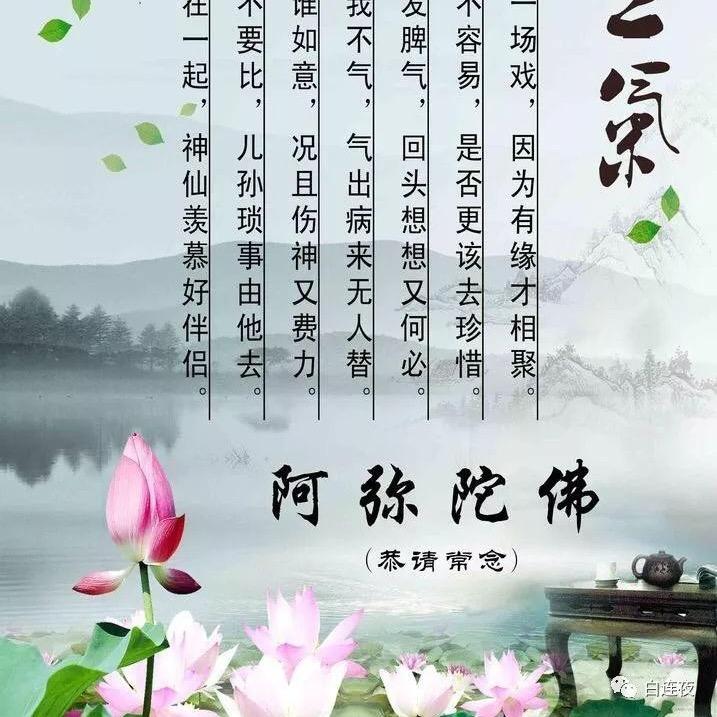 森林之王V