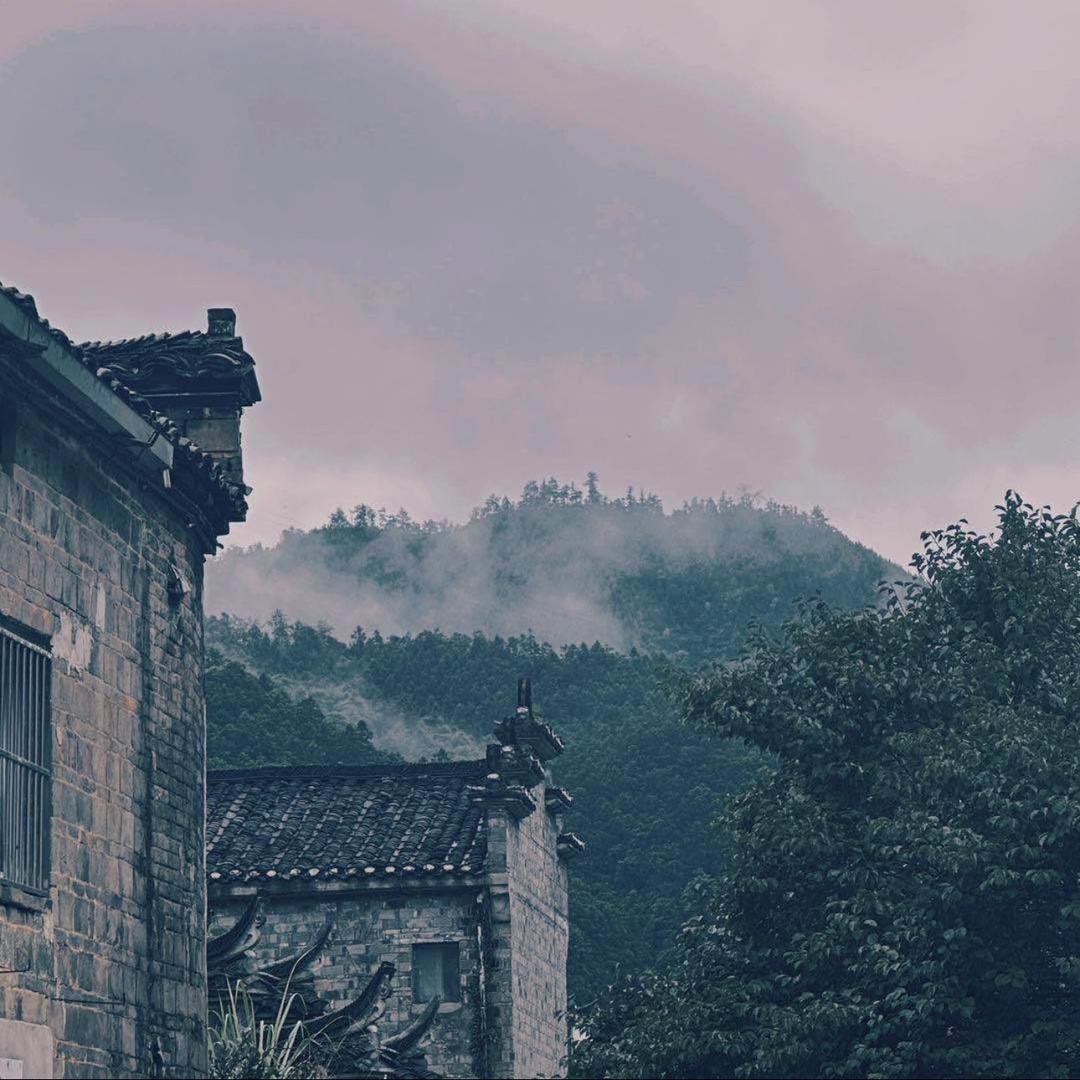 小楼听雨-关关雎鸠