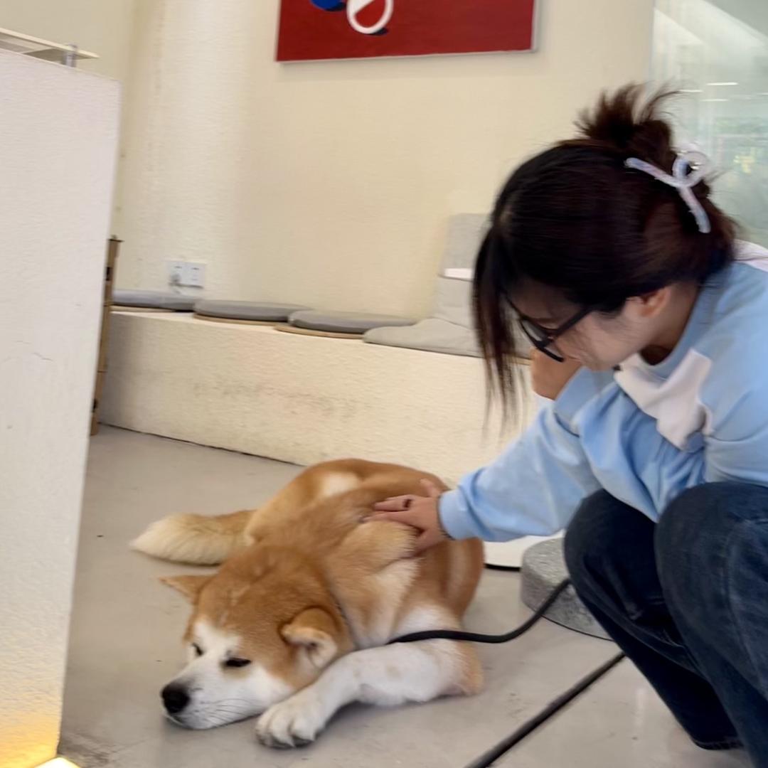 小蕊.