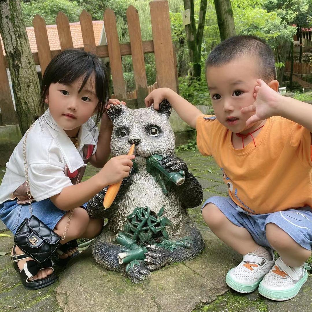 小陈小陈心想事成.