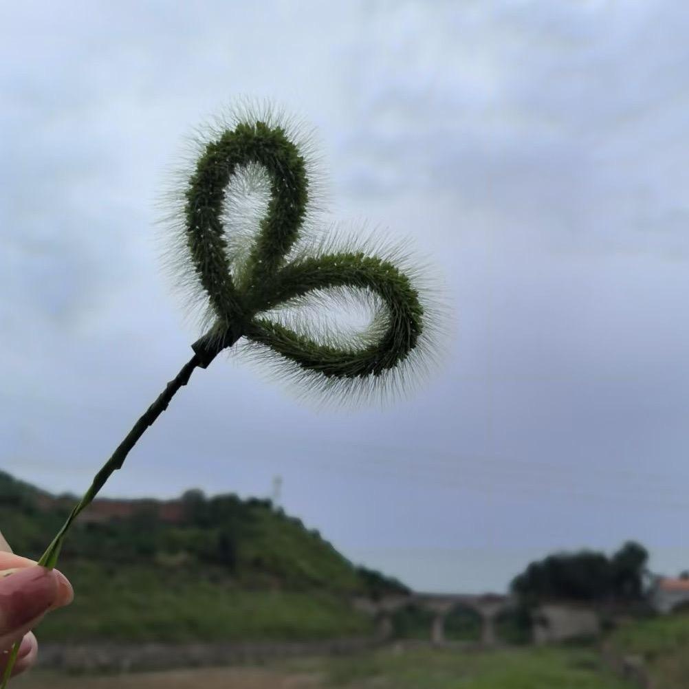 初见.