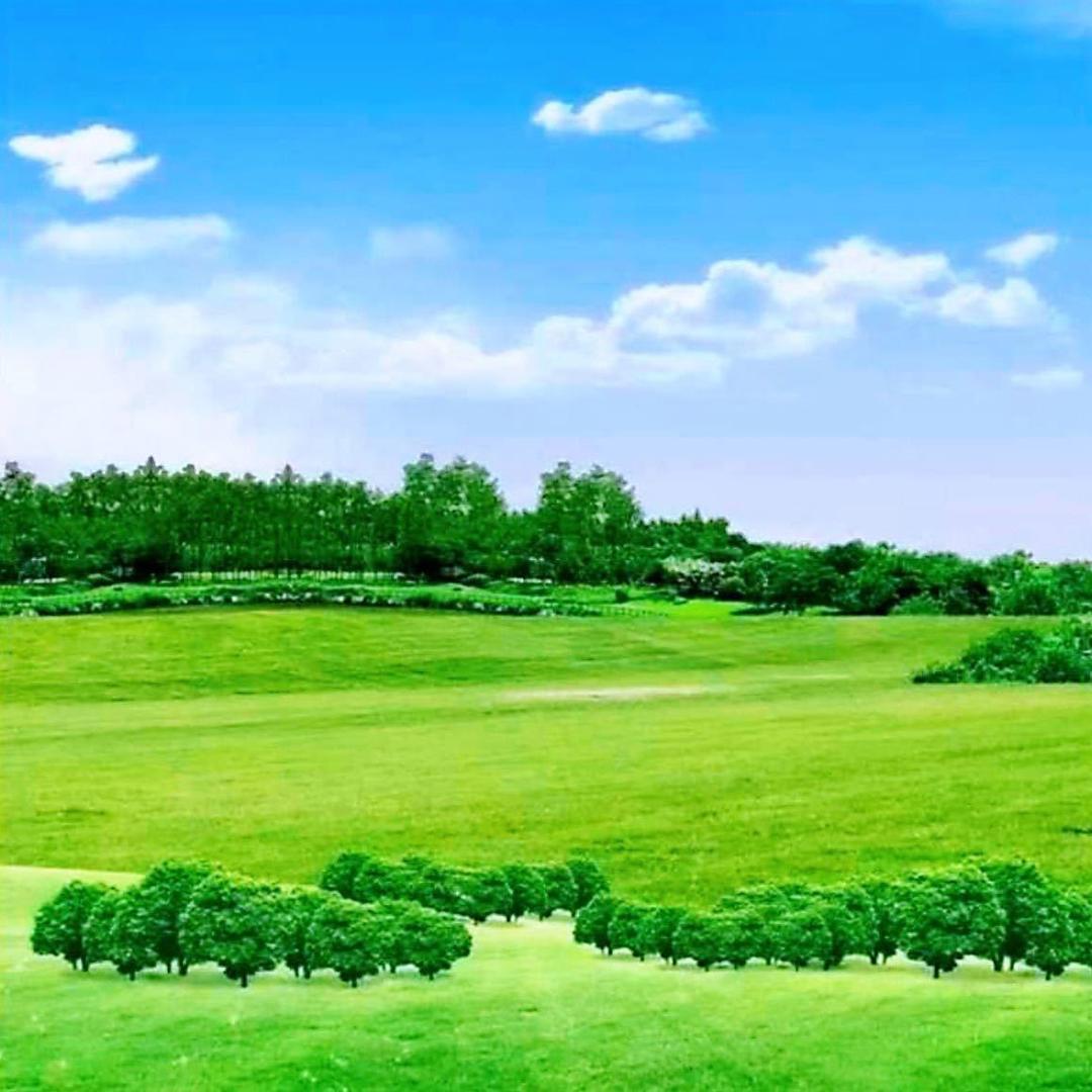 🌹岁月静好🌹【拒绝私聊】