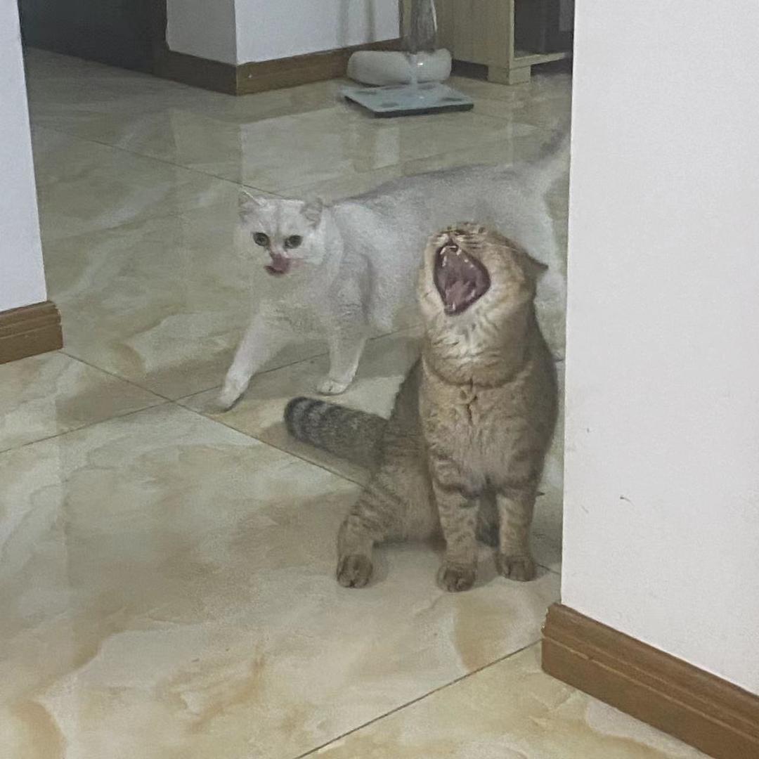 黄昏(arc raiders 午夜行者）