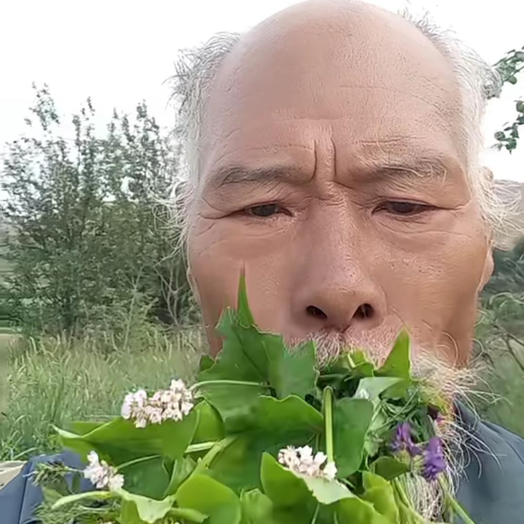 𝓓糕糕.
