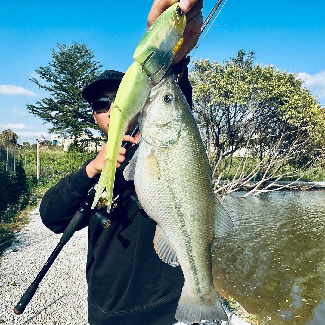 小伟🎣