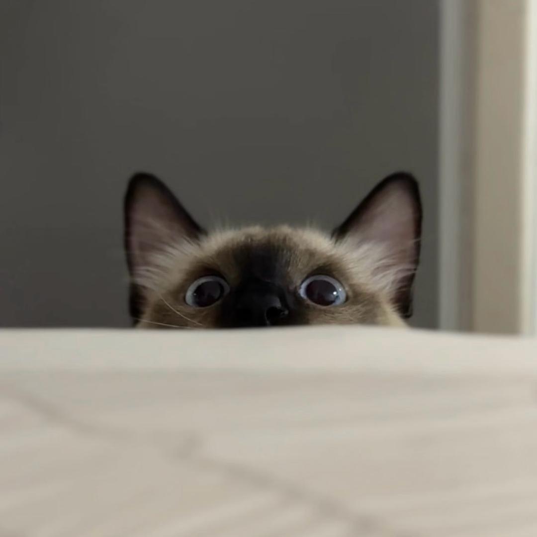 简亓