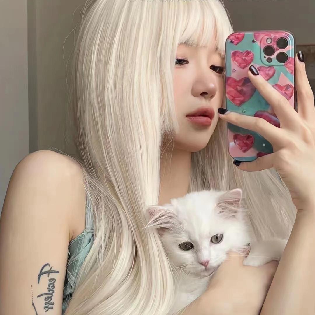 女嘉賓ʸ