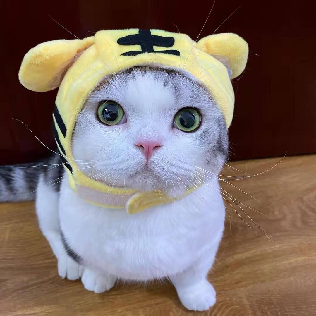 红红火火过大年