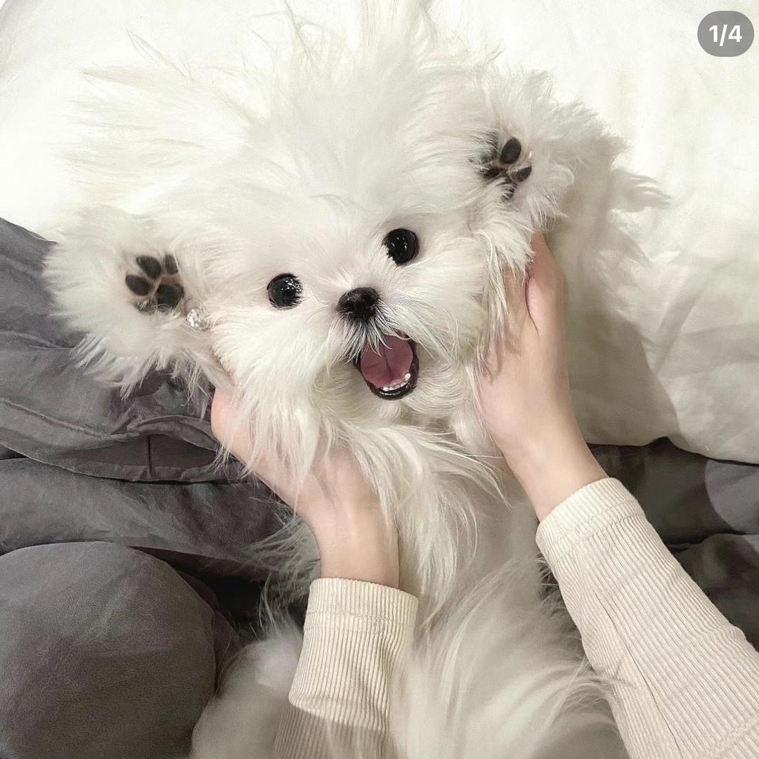 冰的水