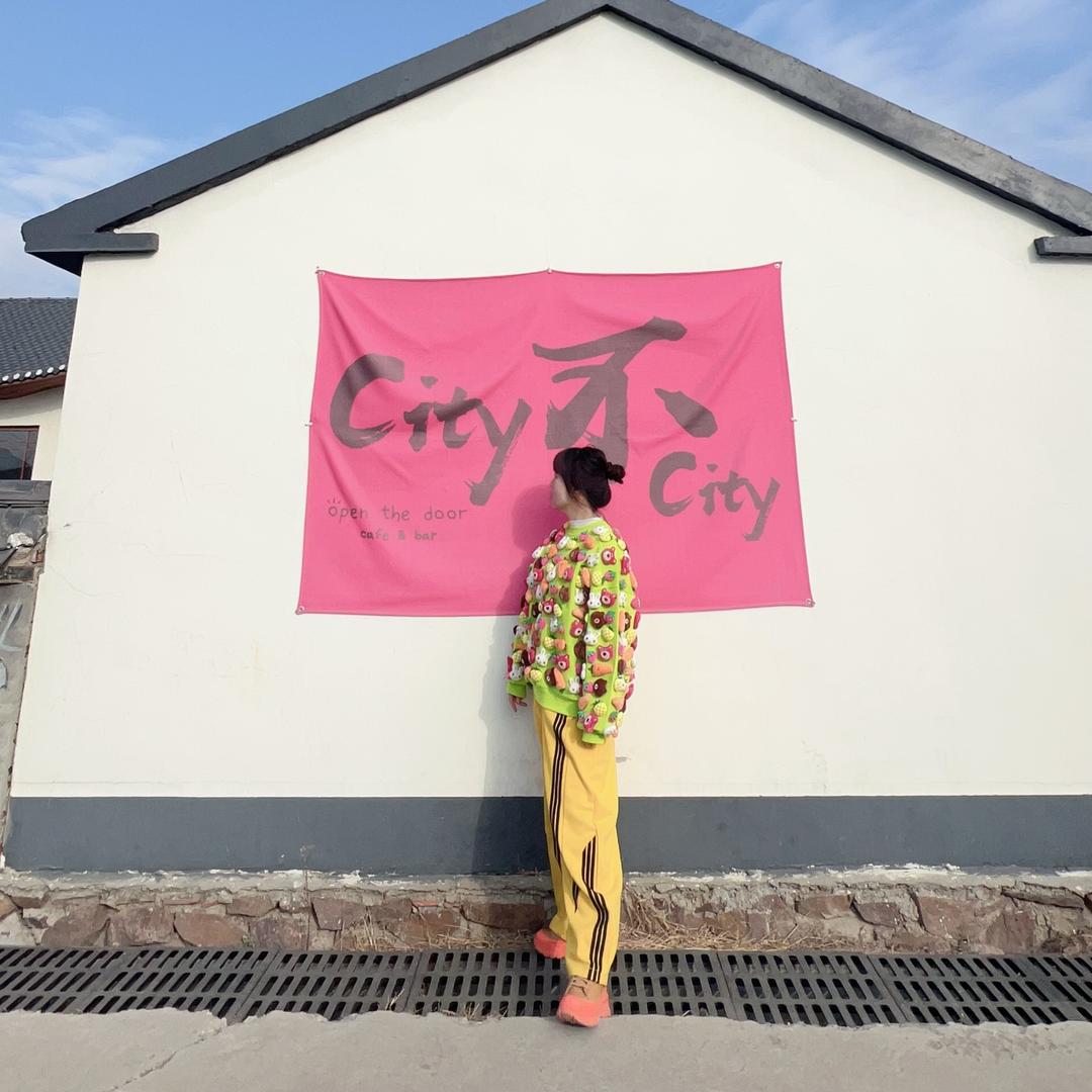 大京子～开虎9的小姐姐