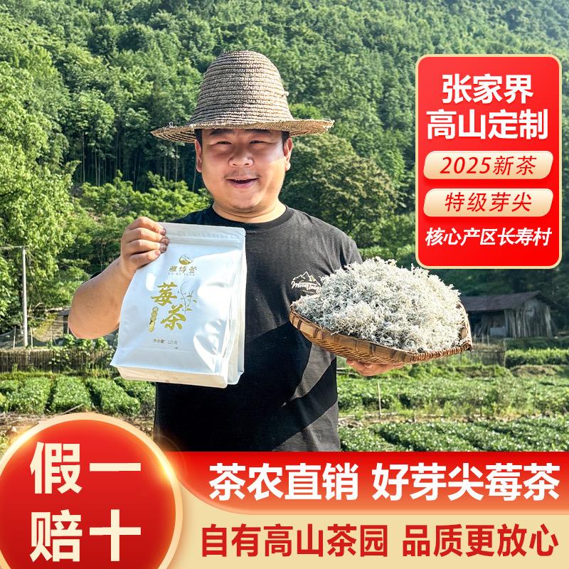 福安寨张家界高山莓茶园