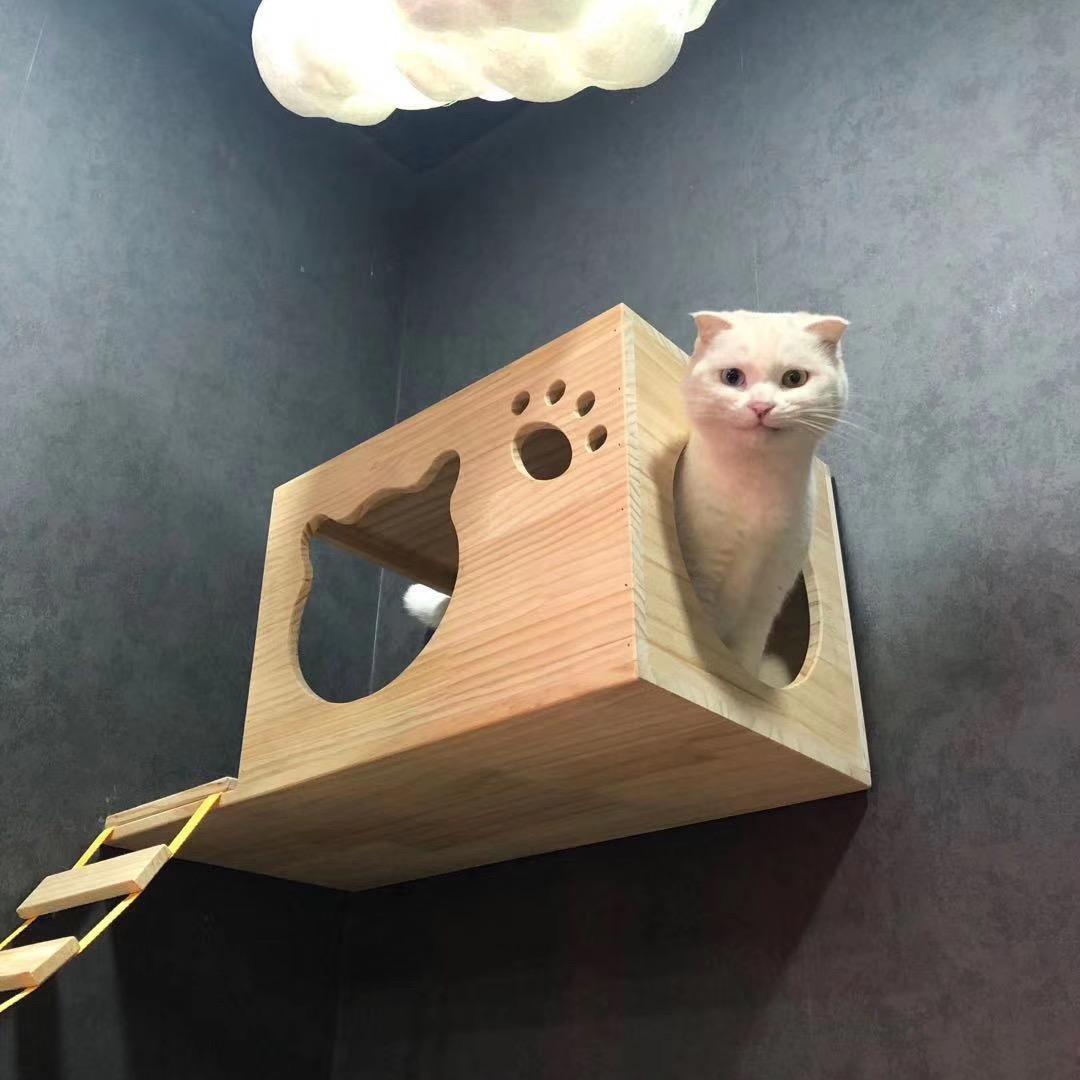 兰子