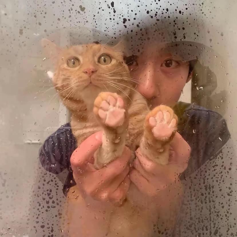 辉