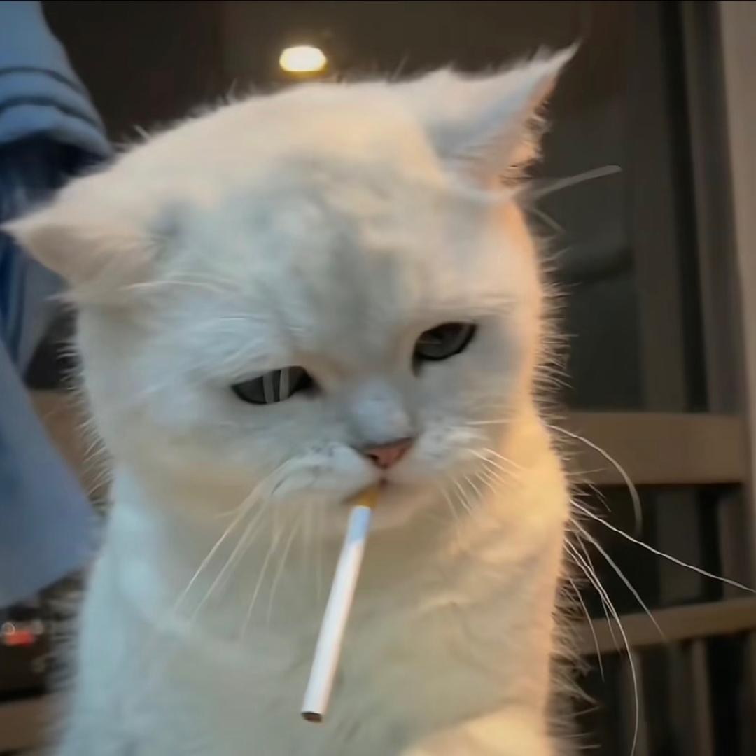 烨烨烨