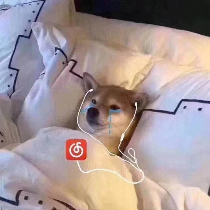 情话🌈