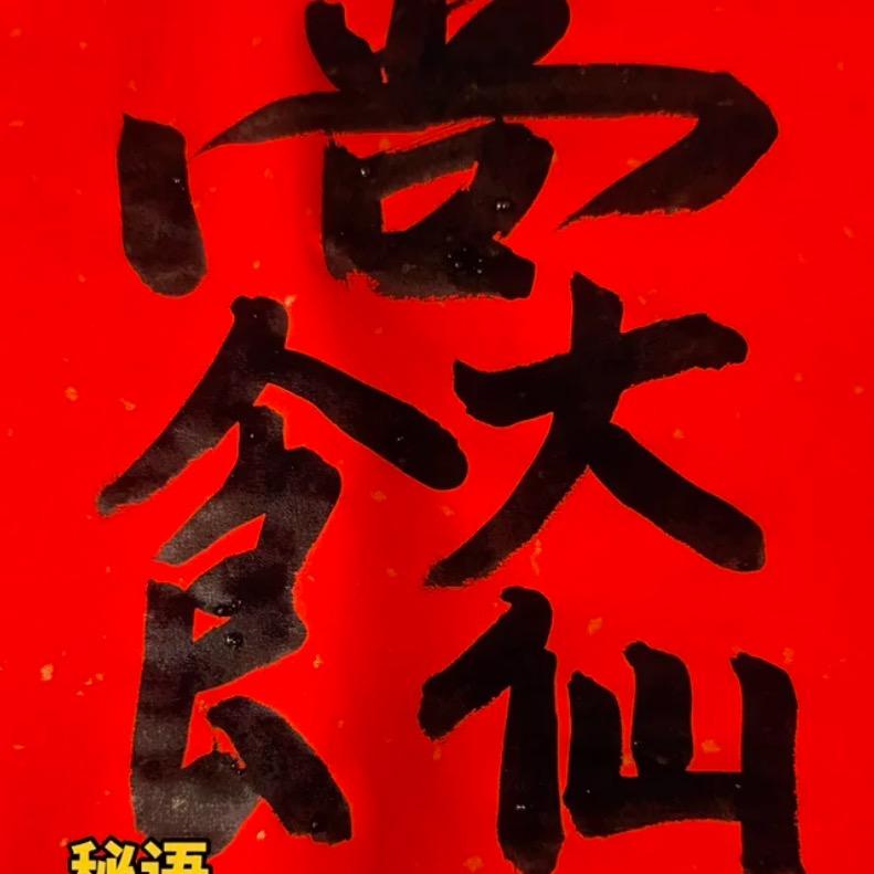 摇钱树苗 已成林