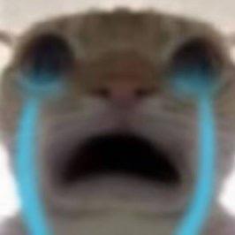 奀