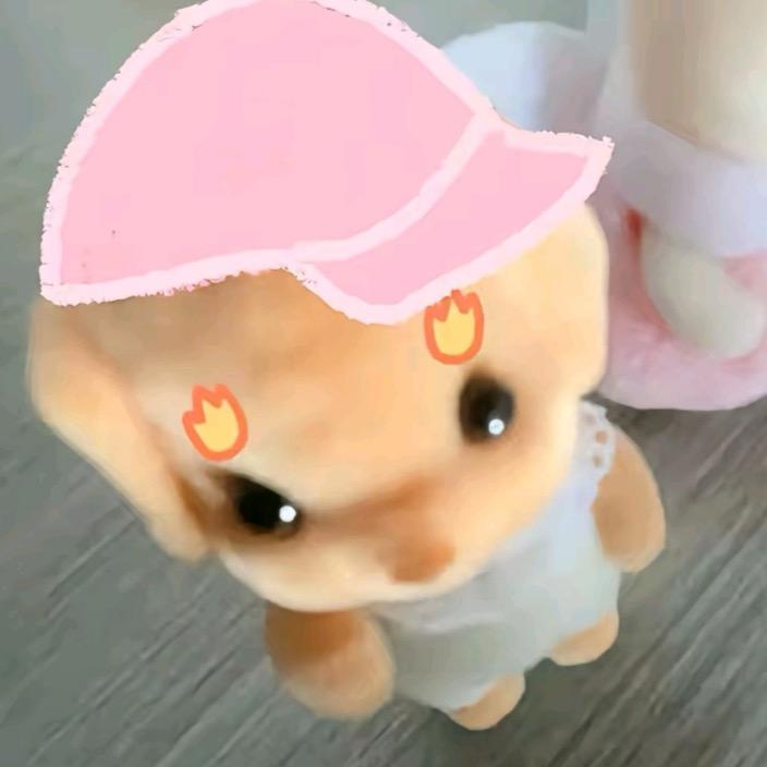 是芋不是鱼
