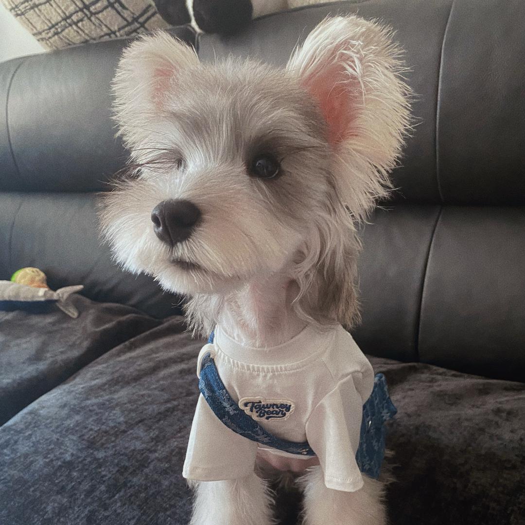 Z·Y糯叽叽麻糍铺