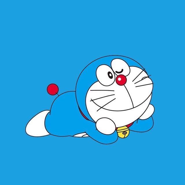我嘞个豆✨