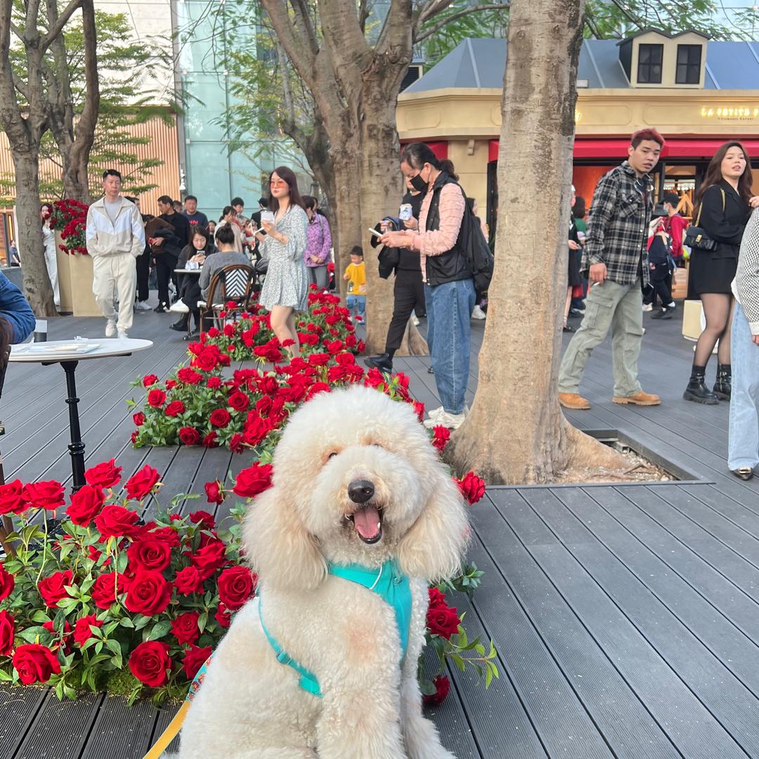 宠悦坊爱宠用品店