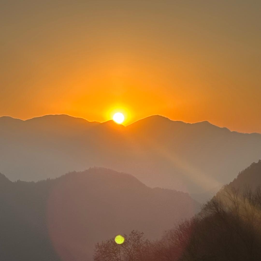 阿威