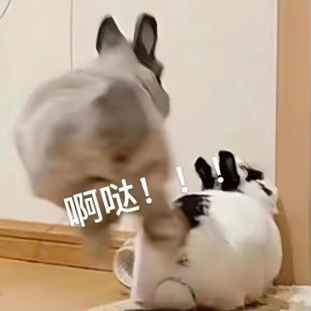 兔头同学tutu@抖音