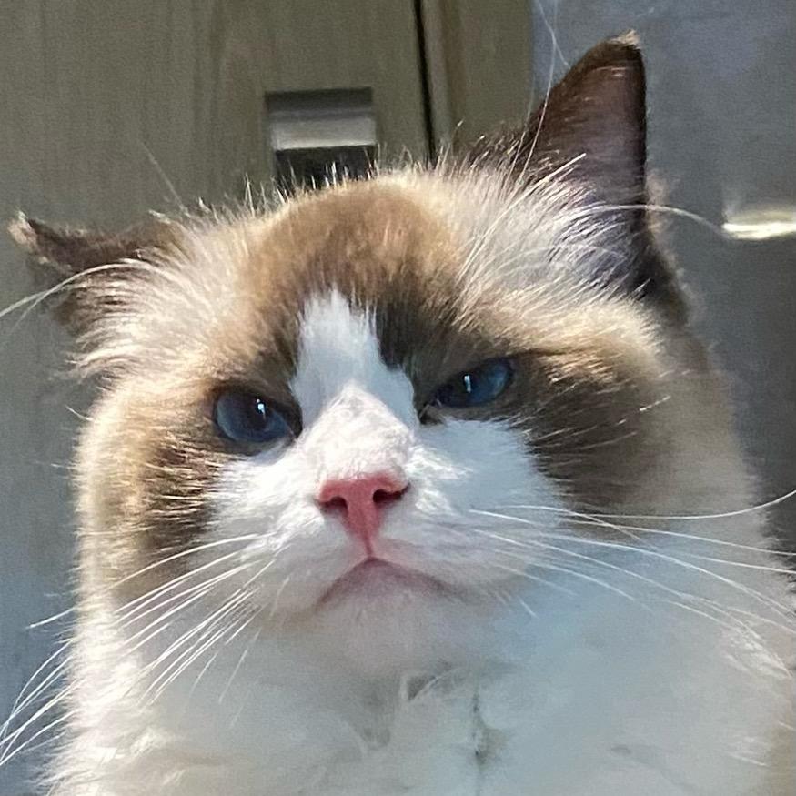 伍柒吃不饱.