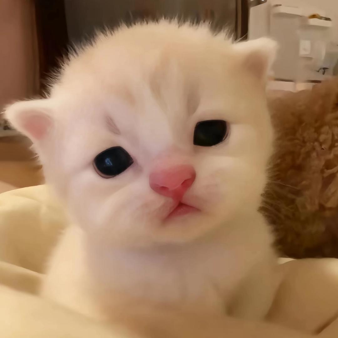 后知后觉最痛