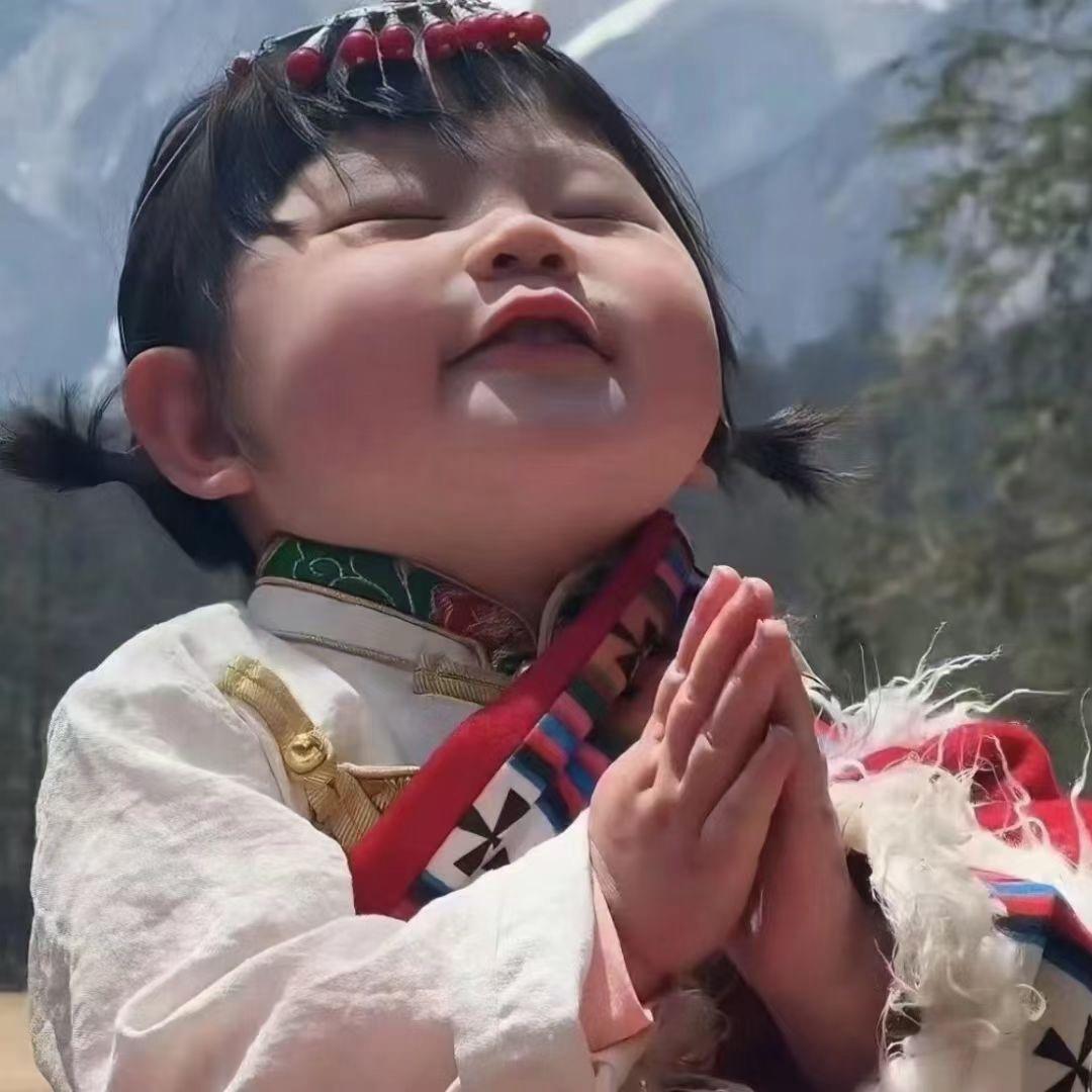 董就懂