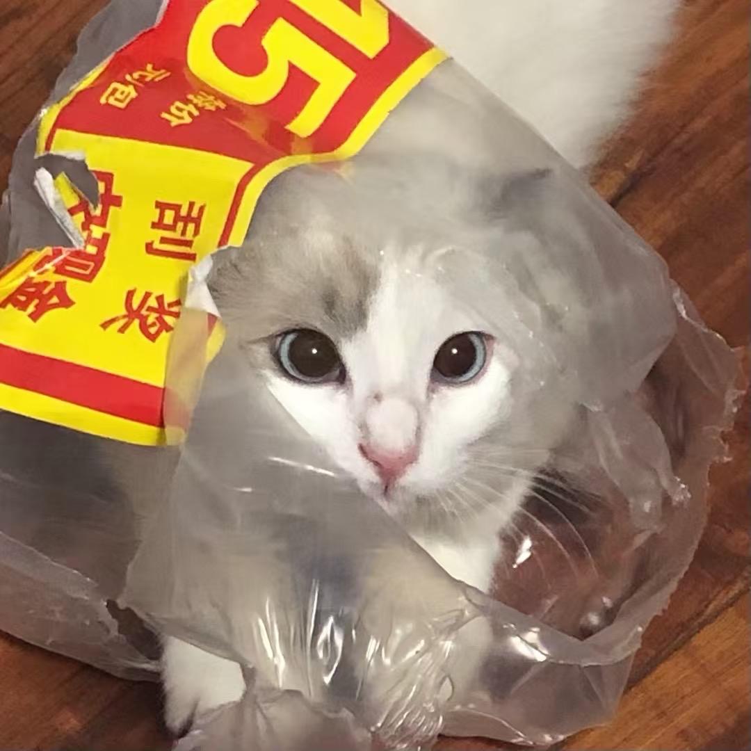 烫烫