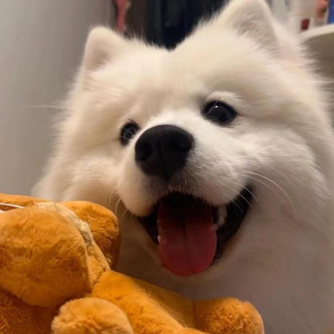 ；