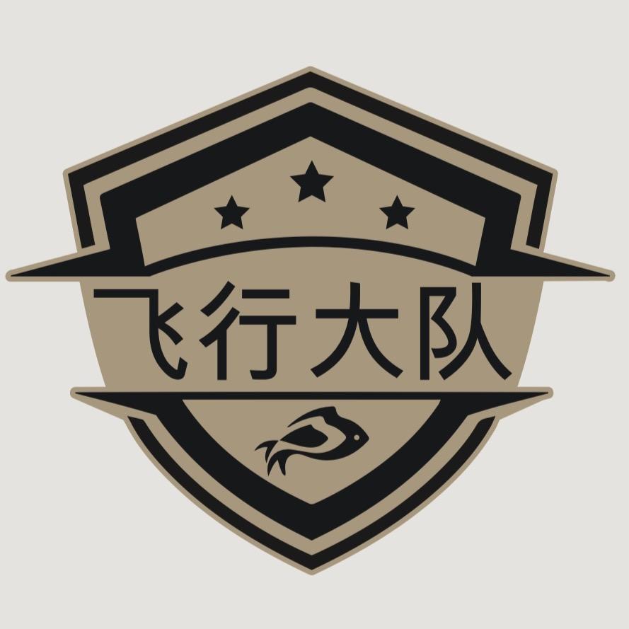 海安飞行大队